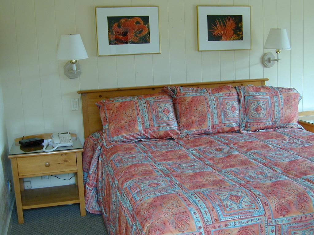 Beachcomber Inn Pacific Grove Rum bild